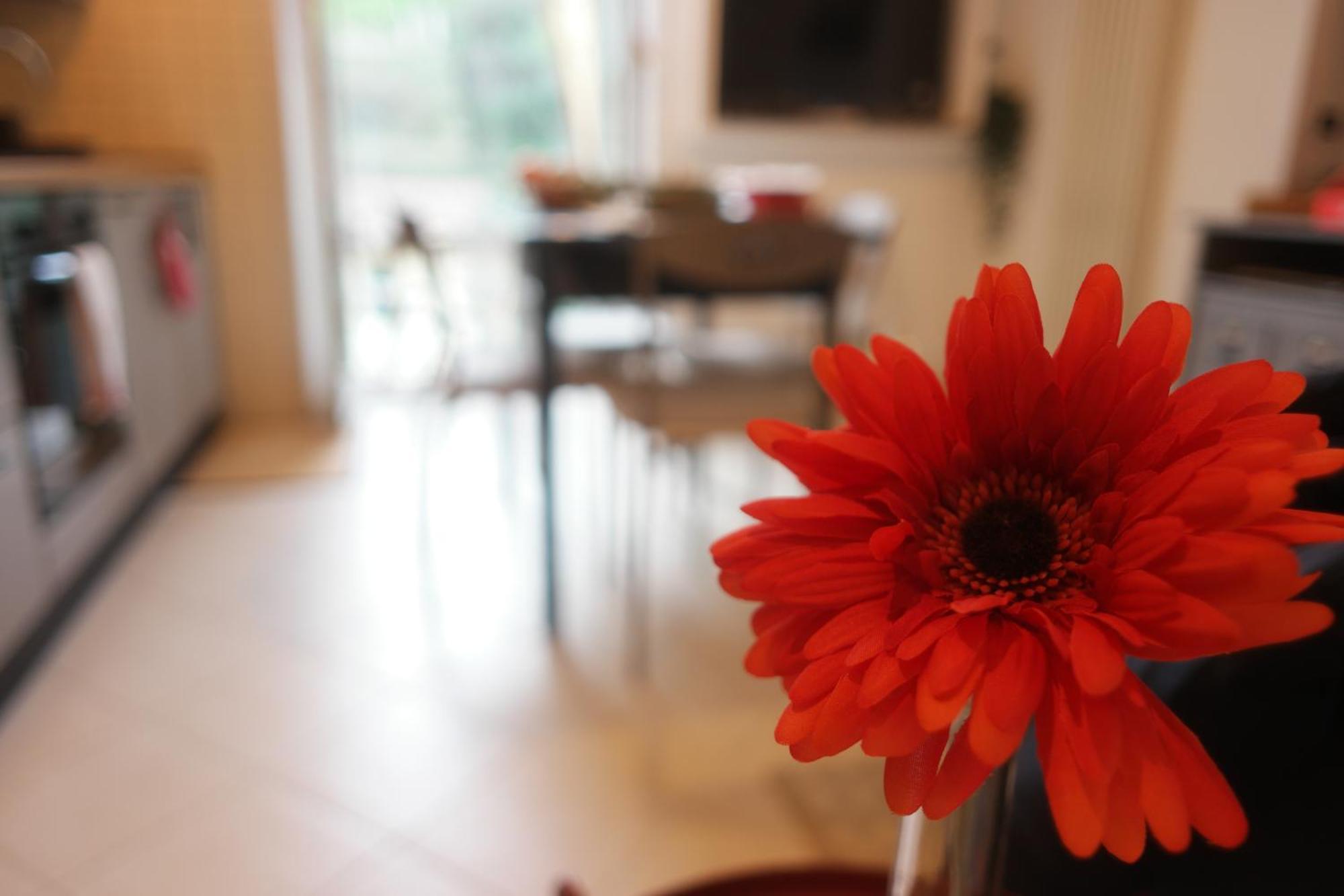 Il Nido Di Mariro Appartement