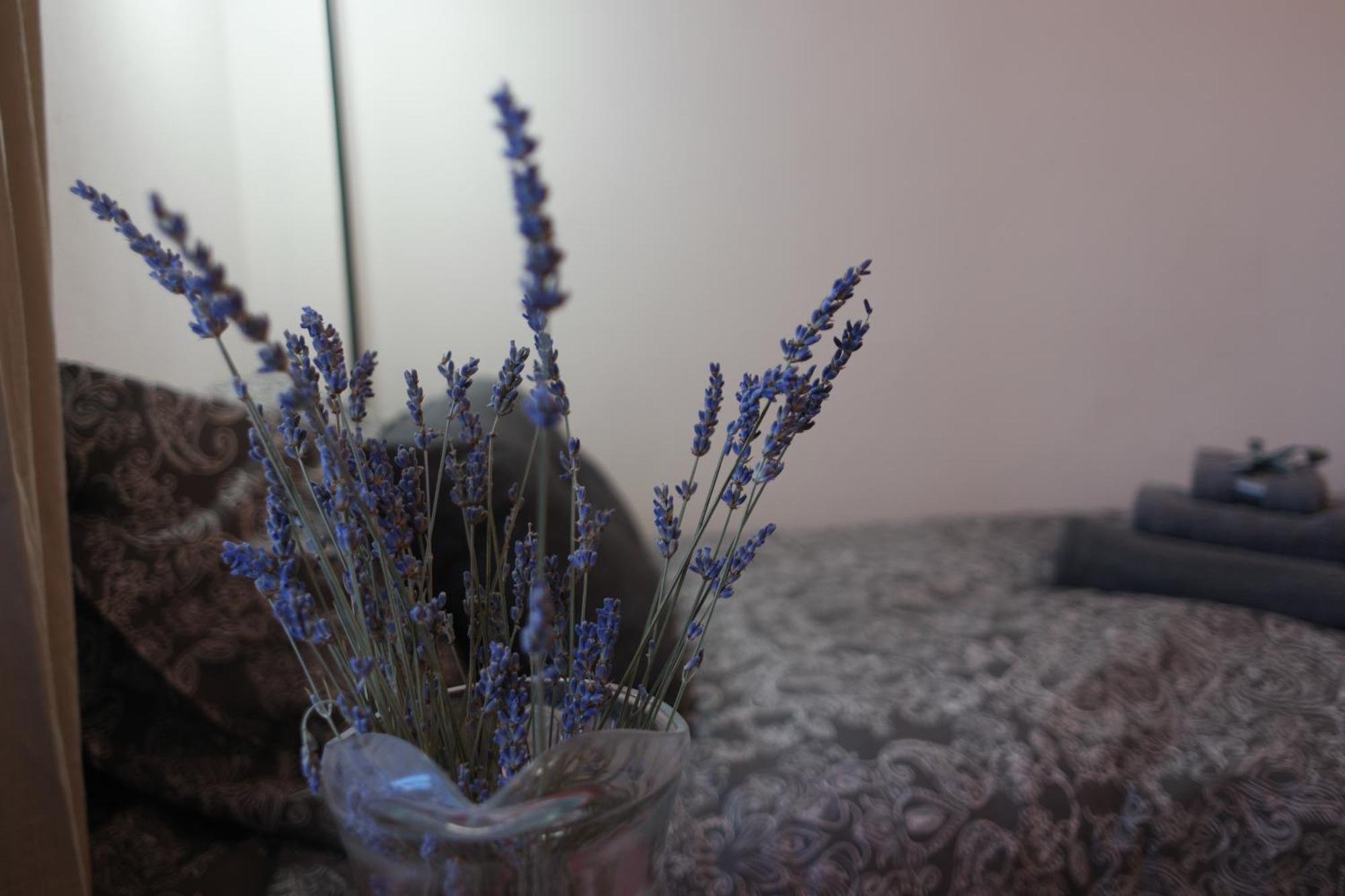 Appartement Il Nido Di Mariro